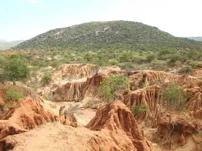 Degraded Land in Pokot